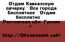 Отдам Кавказскую овчарку - Все города Бесплатное » Отдам бесплатно   . Ростовская обл.,Гуково г.